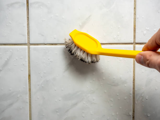 Best Mold Removal Near Me  in Newark, DE