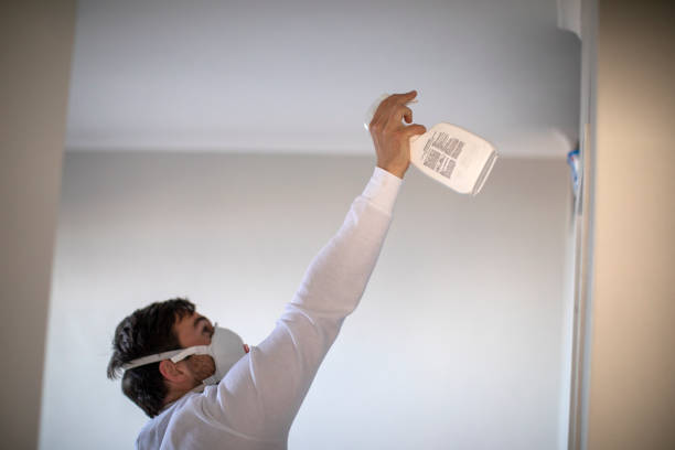 Best Attic Mold Removal  in Newark, DE
