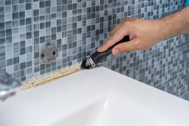 Reliable Newark, DE Mold Removal Solutions