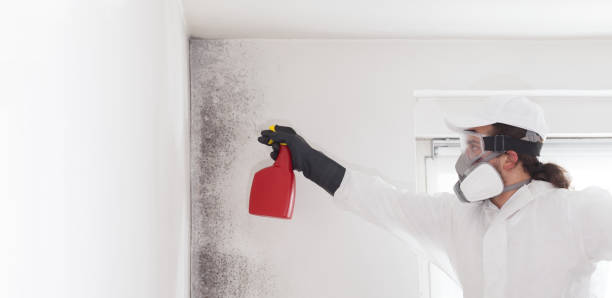 Best Mold Testing  in Newark, DE